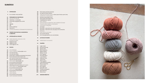 Banda do Pica Pau 2, A - livro