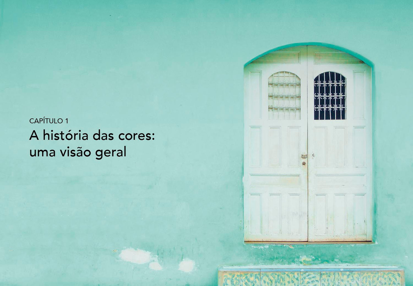 Pequeno livro das cores - livro